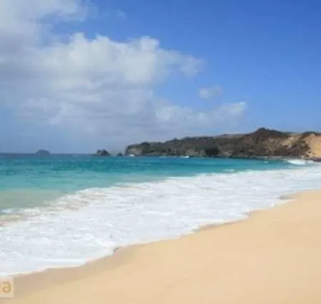 Lablab * Caleta de Sebo